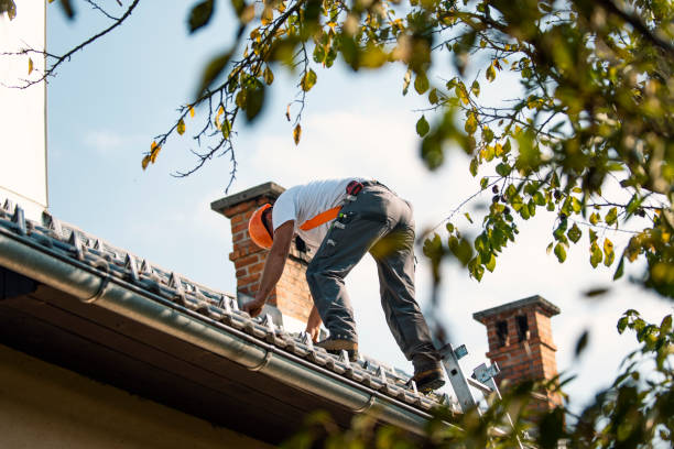 Best Roof Leak Repair  in Carbonville, UT